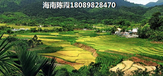 双大·野奢世界VS七仙河畔哪个贵州人比较多？保亭买房子北方人可以买房子吗？